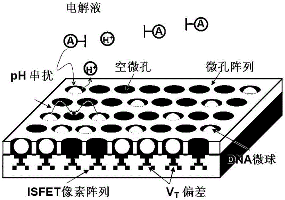 CMOS and ISFET dual-mode image chemical sensor chip for high-throughput gene sequencing