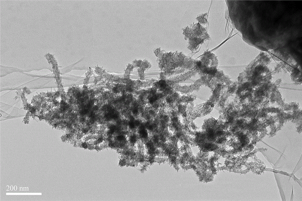 Multi-walled carbon nano-tube supported manganese oxide-based catalyst preparation method