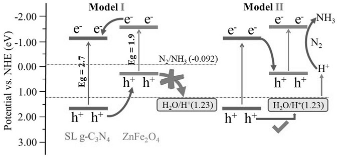 Preparation method of a single-layer carbon nitride composite zinc ferrite z-type catalyst and its nitrogen fixation application