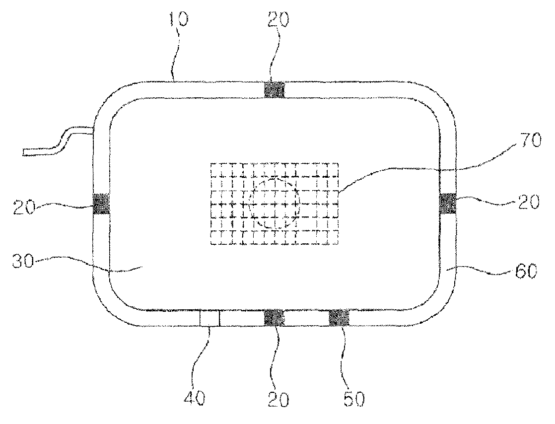 Iris recognition camera system for mobile device