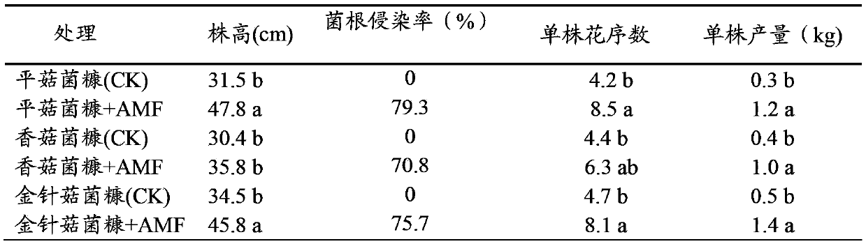 Novel mushroom residue and arbuscular mycorrhizal fungi (AMF) culture medium, and preparation method and application thereof