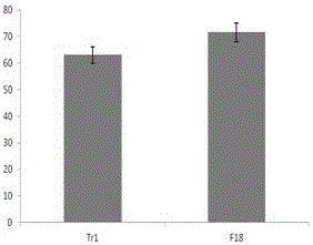 A kind of biocontrol trichoderma f18 and its preparation method and application