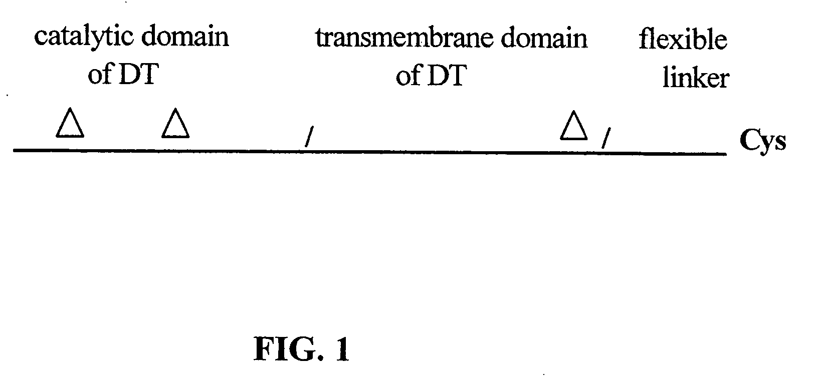 Diphtheria toxin variant