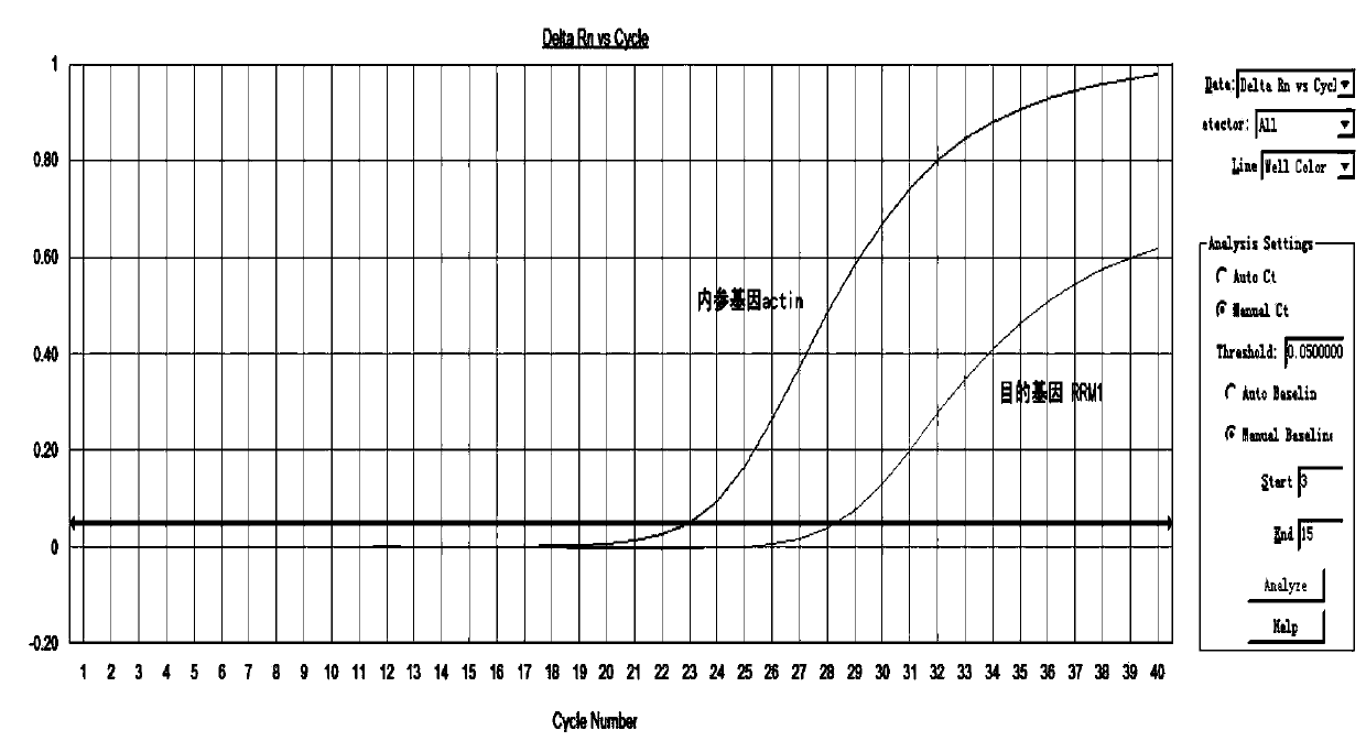 Method, kit, primer and probe for detecting relative expression quantity of RRM1 (ribonucleotide reductase M1) mRNA (messenger ribonucleic acid)