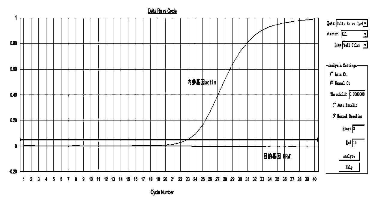 Method, kit, primer and probe for detecting relative expression quantity of RRM1 (ribonucleotide reductase M1) mRNA (messenger ribonucleic acid)