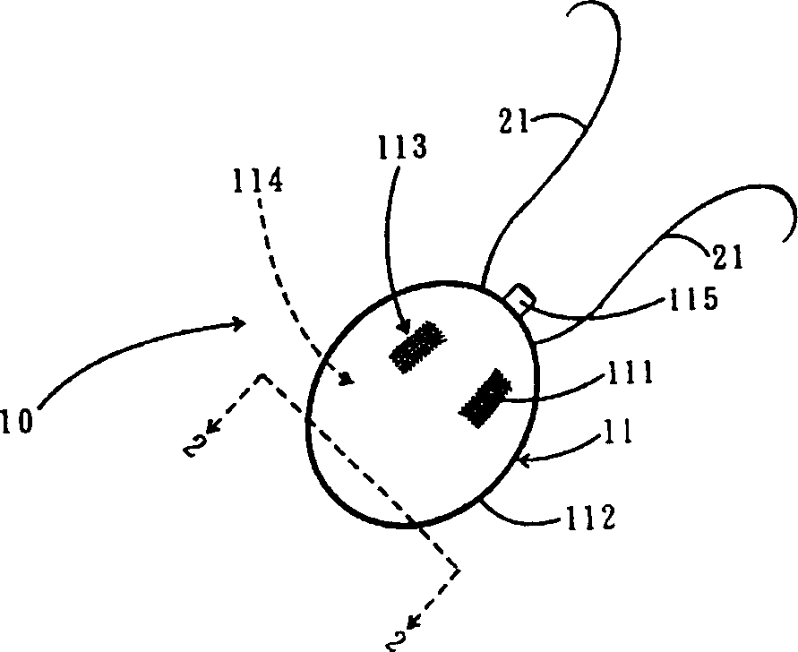 Skeleton tissue anchoring apparatus