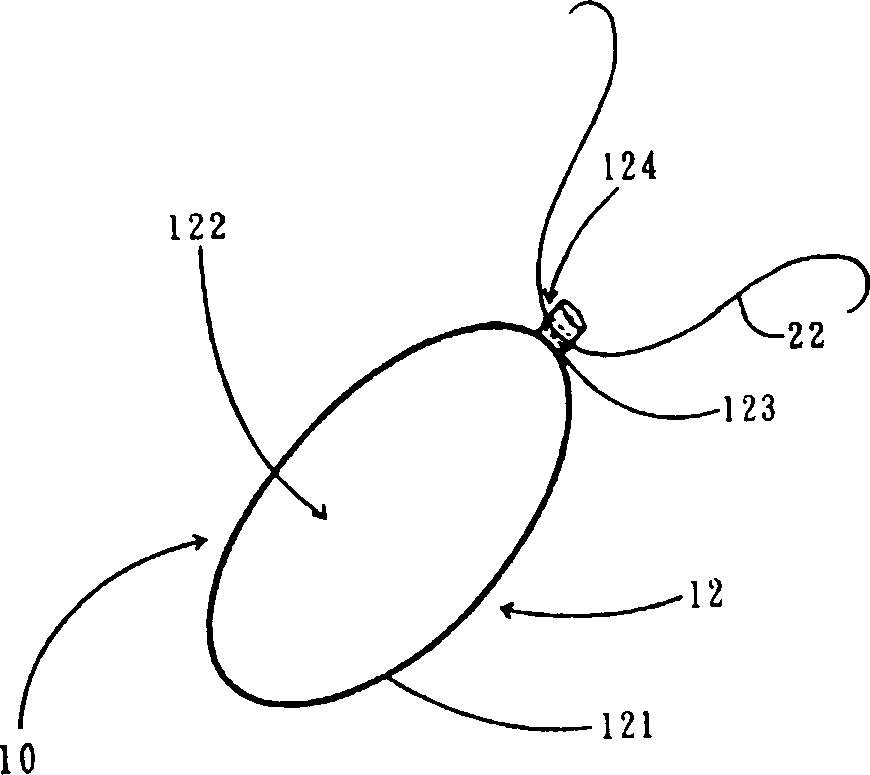 Skeleton tissue anchoring apparatus