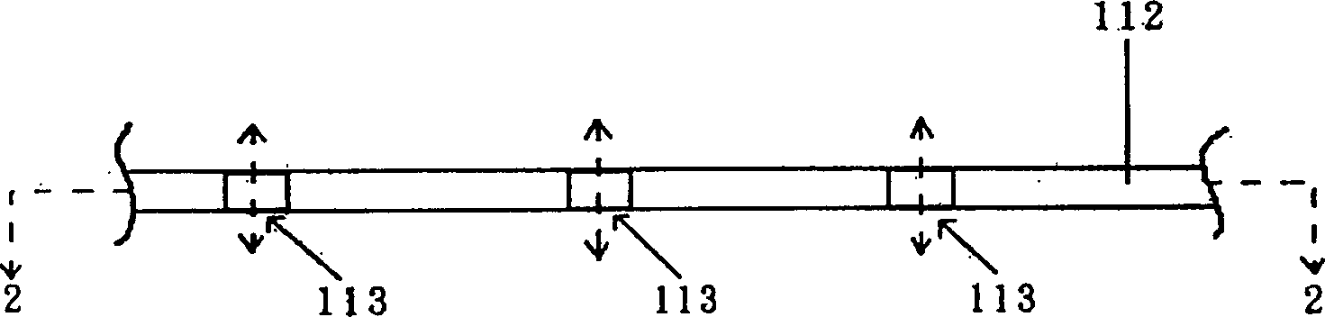 Skeleton tissue anchoring apparatus