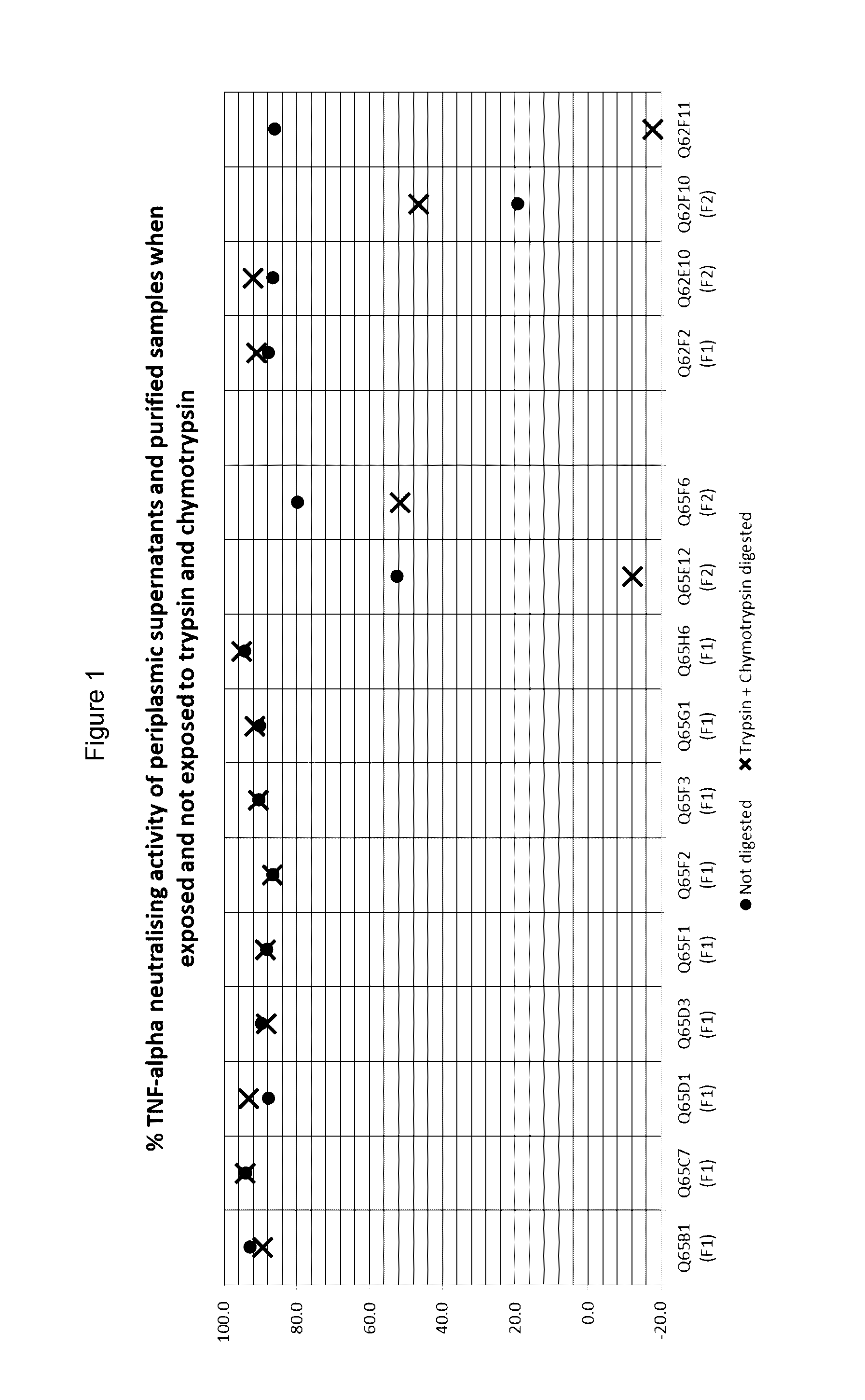 Polypeptides