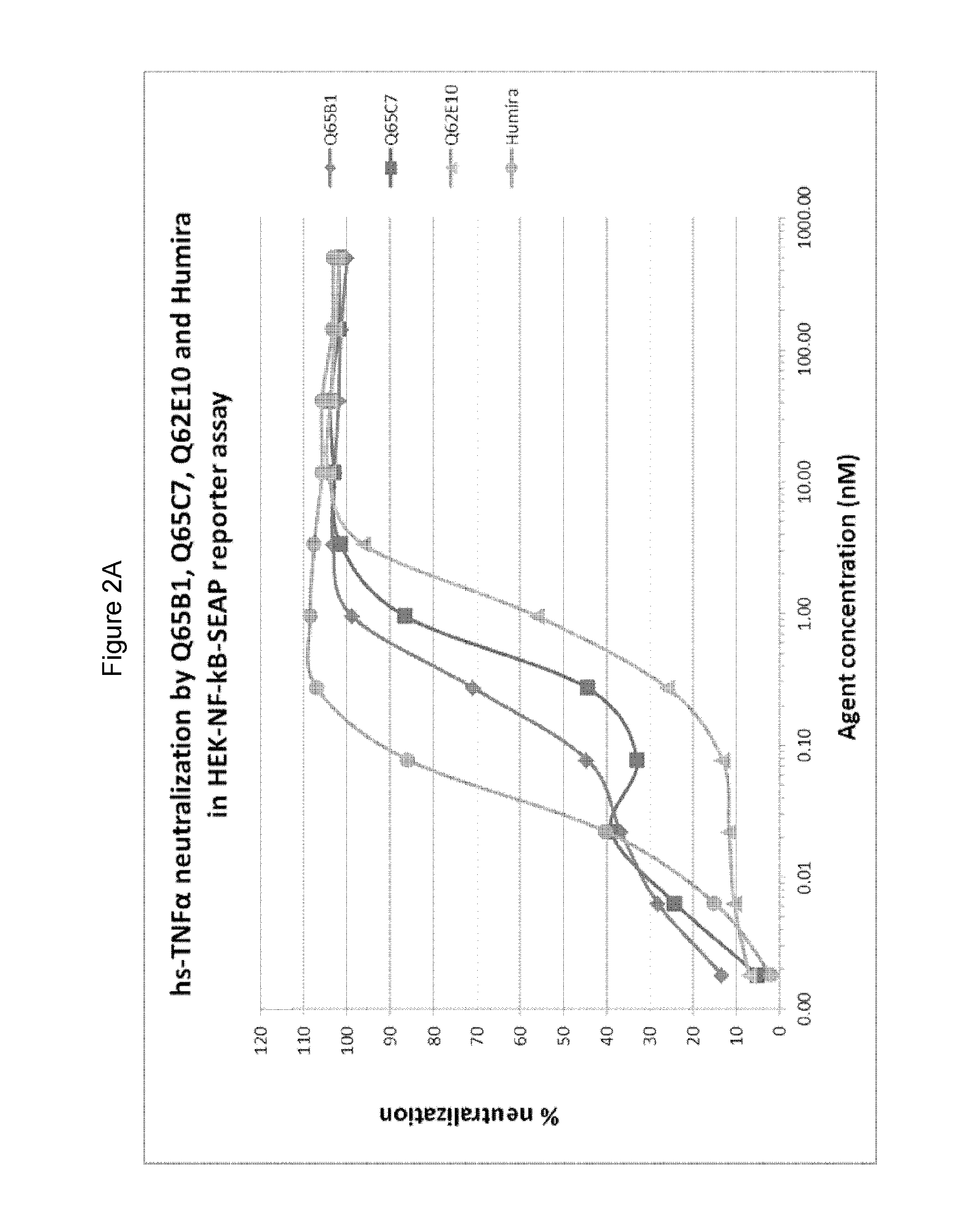 Polypeptides