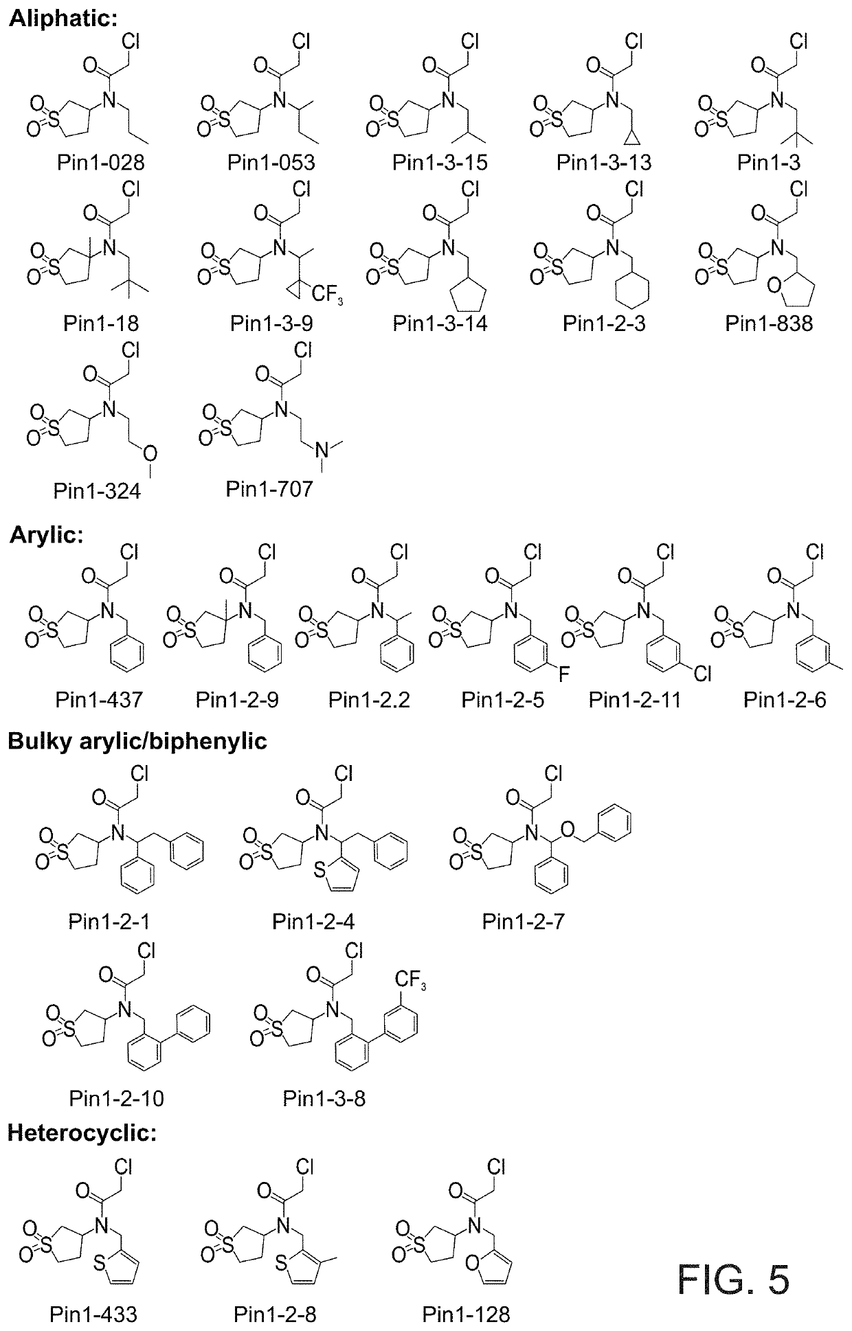 Modulators of pin1 activity and uses thereof