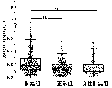 Lung cancer marker anti-ACTR3 autoantibody and applications thereof