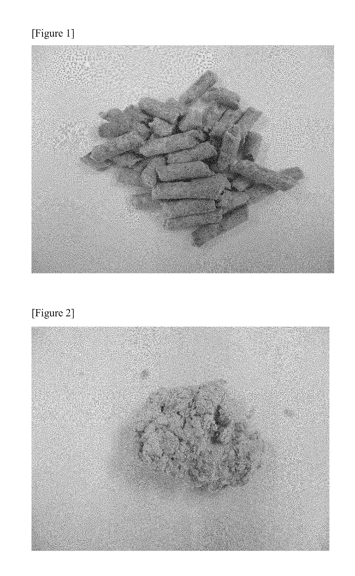 Feedstuffs for ruminants