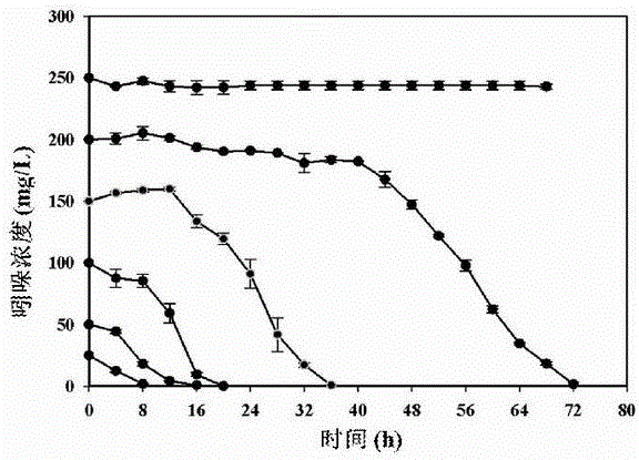 A strain of copper greedy bacteria for aerobic degradation of indole and its application