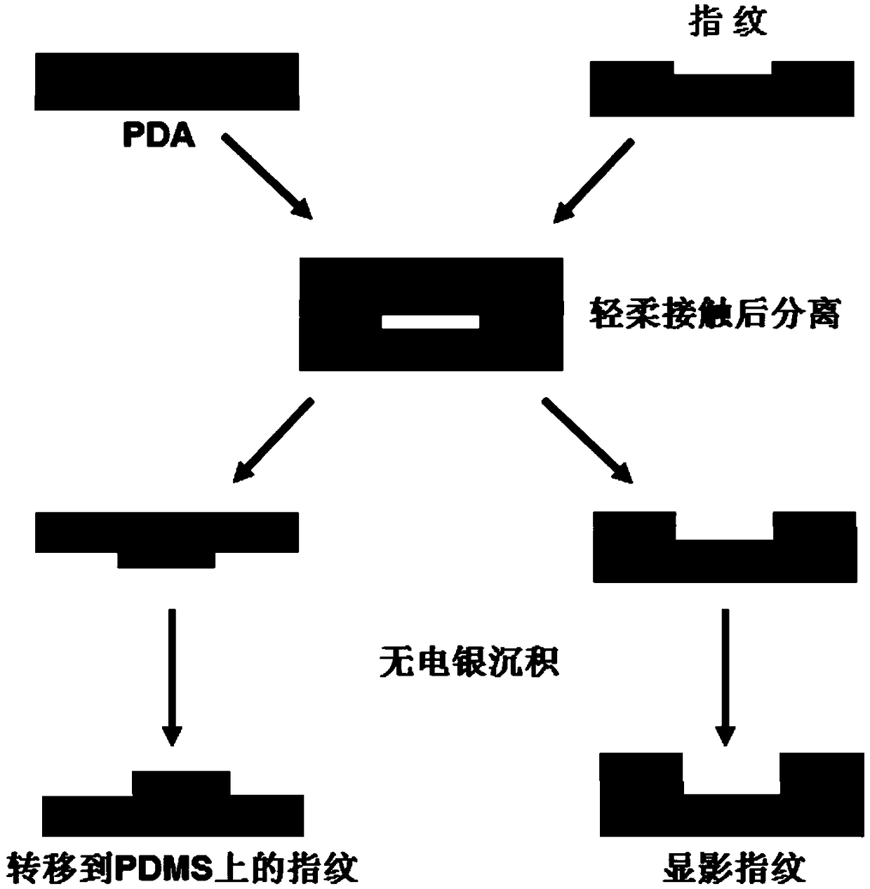 An integrated method for developing and transferring latent fingerprints based on interfacial separation of polydopamine films