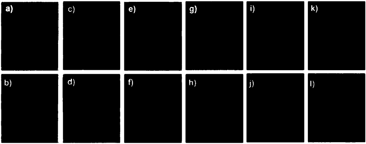 An integrated method for developing and transferring latent fingerprints based on interfacial separation of polydopamine films