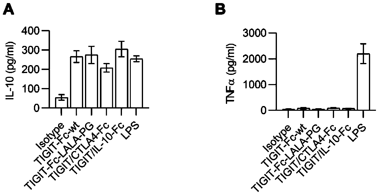 Dimer immunoadhesin, pharmaceutical composition and application thereof