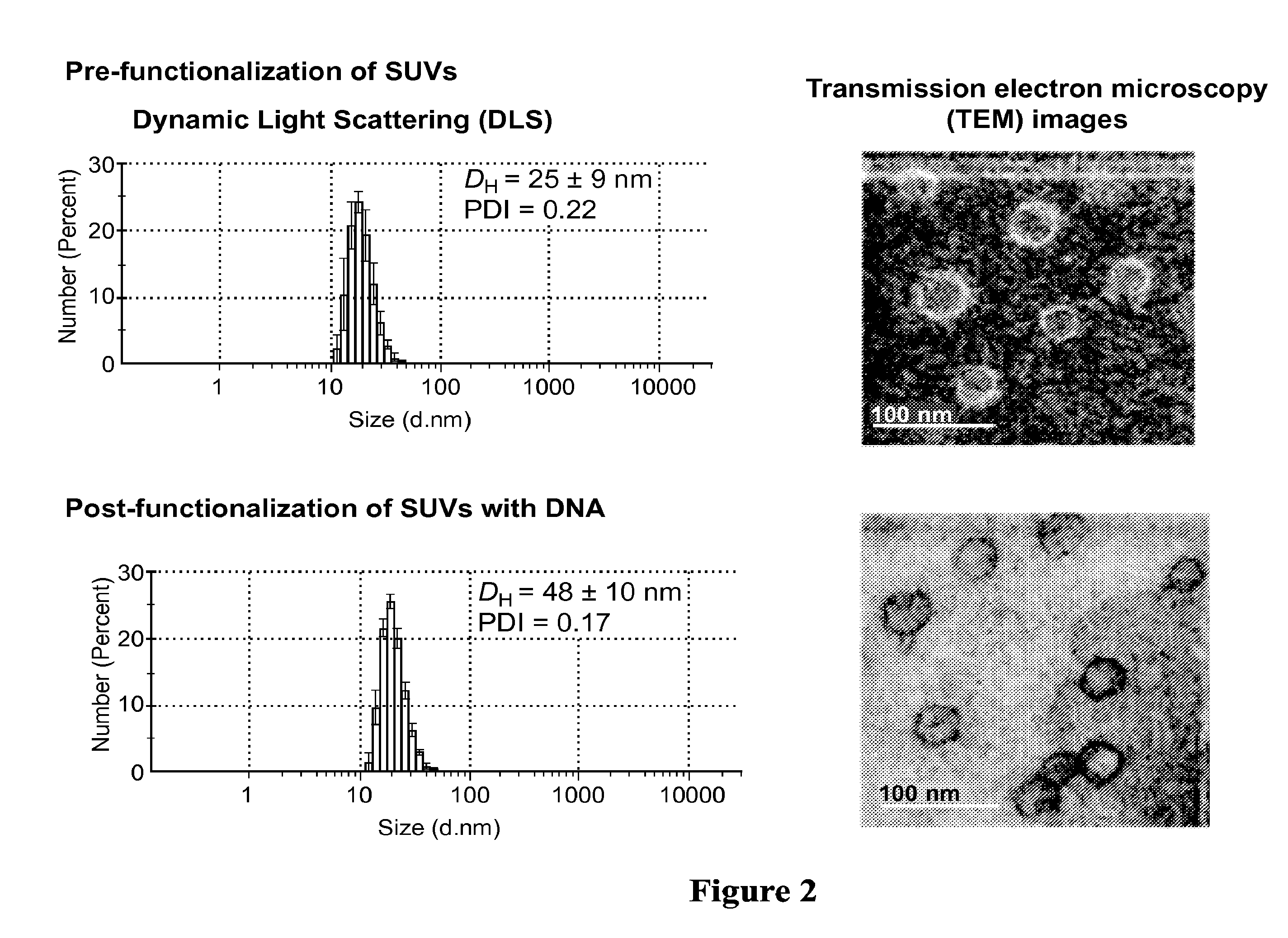 Liposomal particles, methods of making same and uses thereof