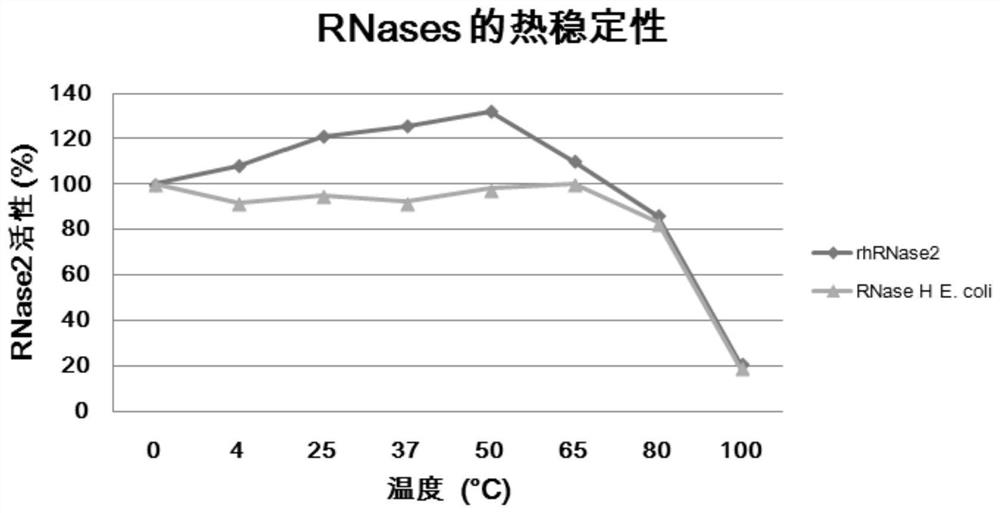 Application of macromolecular protein in anti-RNA virus disinfectant