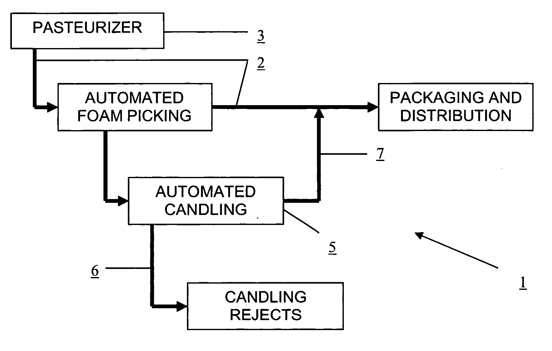 Automated bottle inspection appartatus and methods