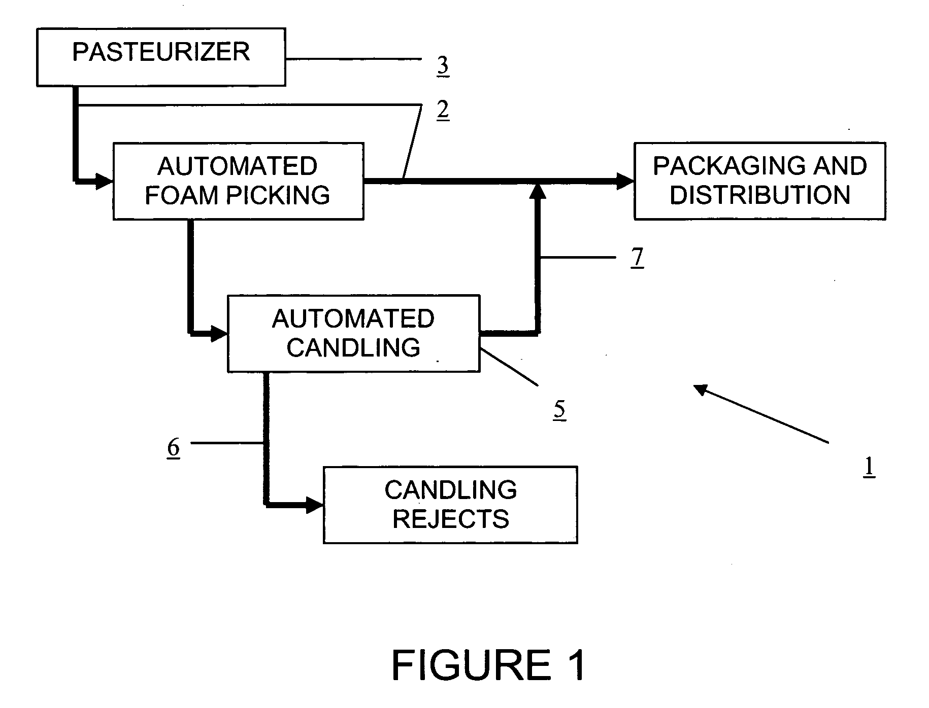 Automated bottle inspection appartatus and methods