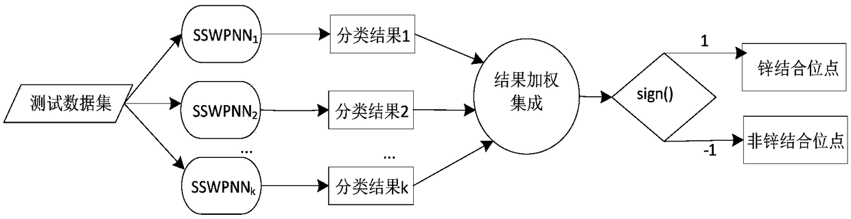 Zinc-binding protein action site prediction method based on integrated learning in non-equilibrium mode