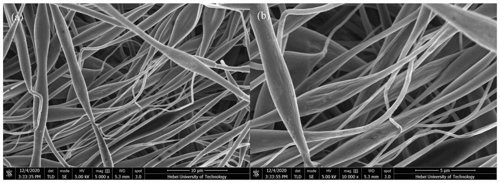 Electrostatic spinning preparation method of porous polylactic acid fiber oil absorption material