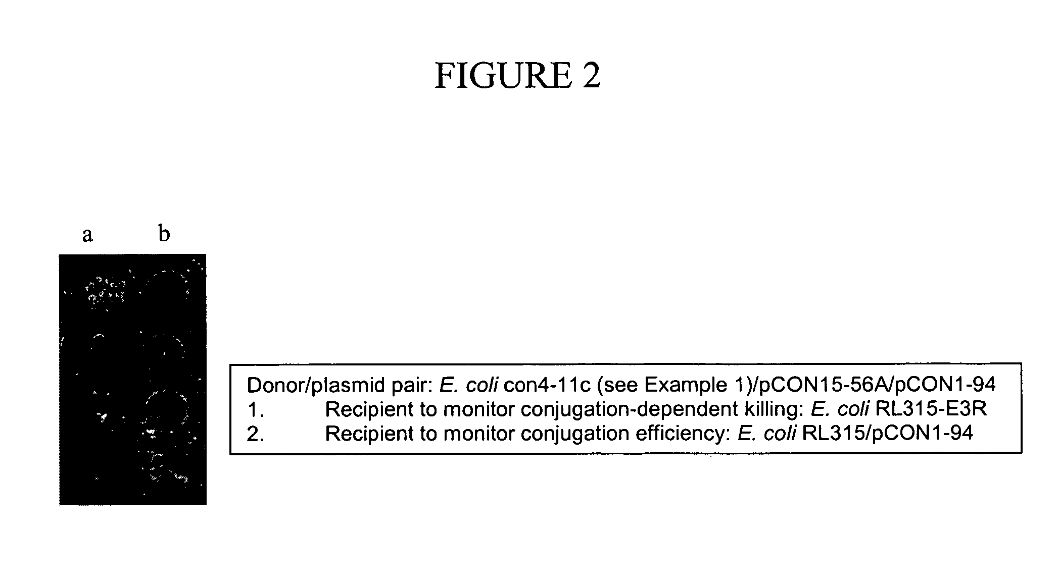 Compositions and methods for treating tissue