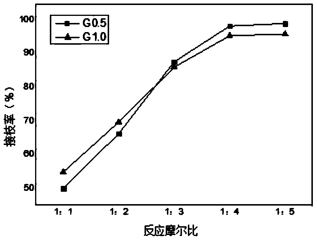 A dendrified bactericidal microsphere and its preparation method and application