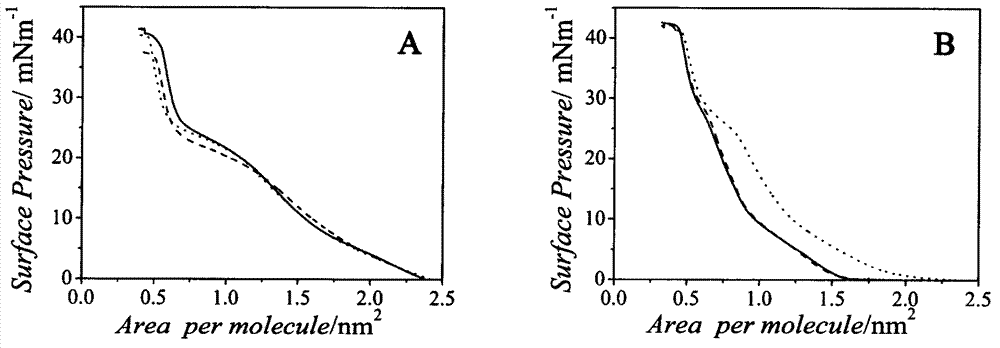 Method for preparing flower-like nano cadmium sulfide by using perylene bisimide derivatives as template