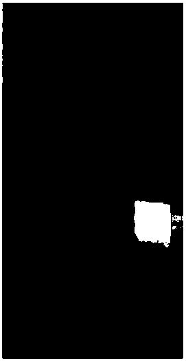 Antibacterial mildew-resistant corrosion-resistant flame-resistant integrated nanometer functional paint, and preparation method and applications thereof