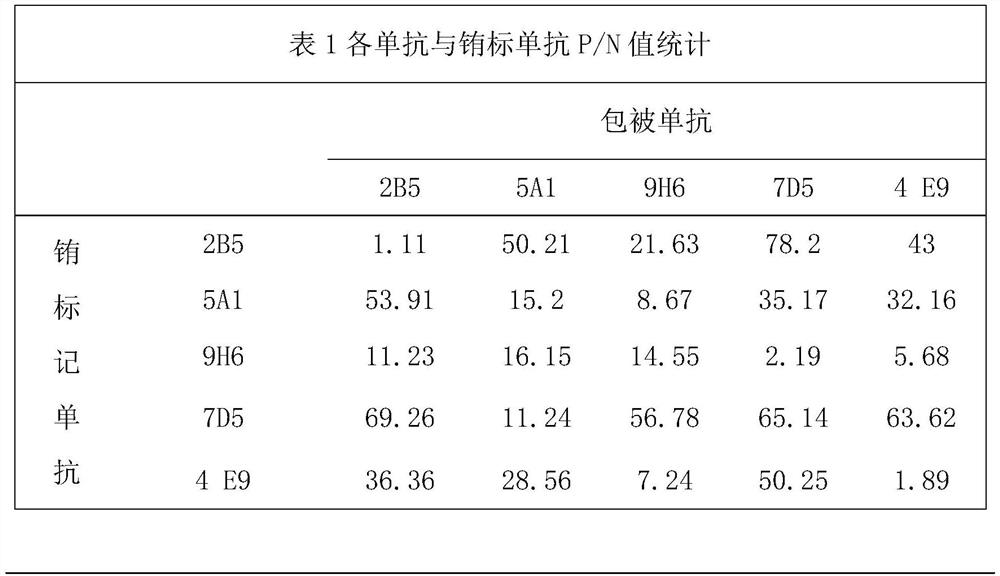 Preparation of canine adenovirus II recombinant protein monoclonal antibody