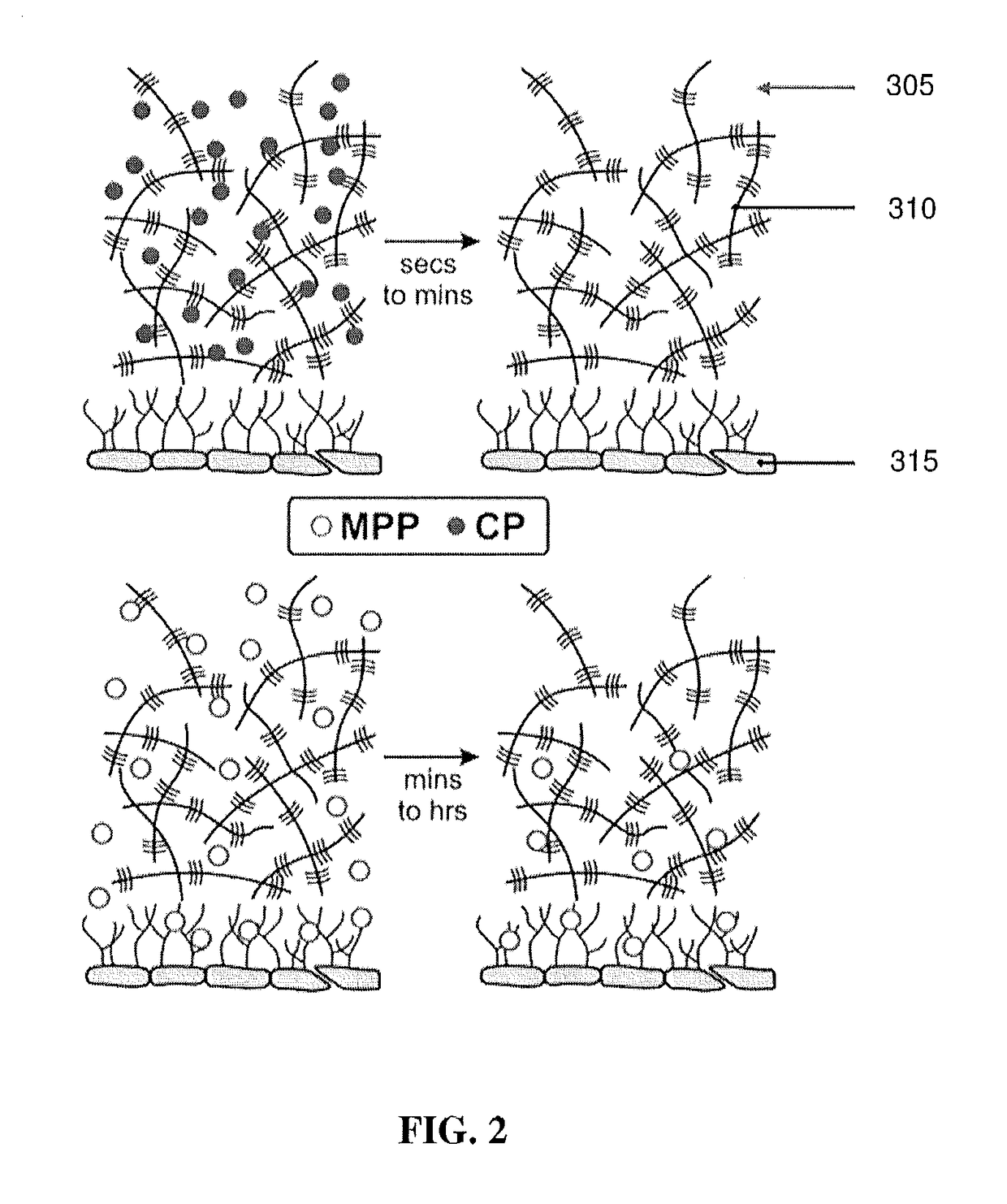 Meropenem derivatives and uses thereof