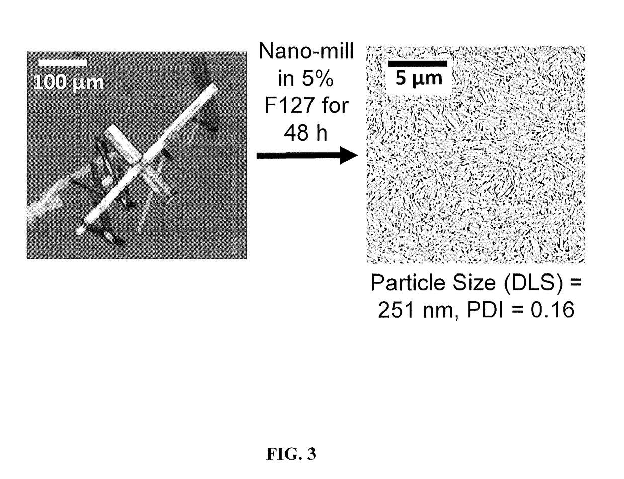 Meropenem derivatives and uses thereof