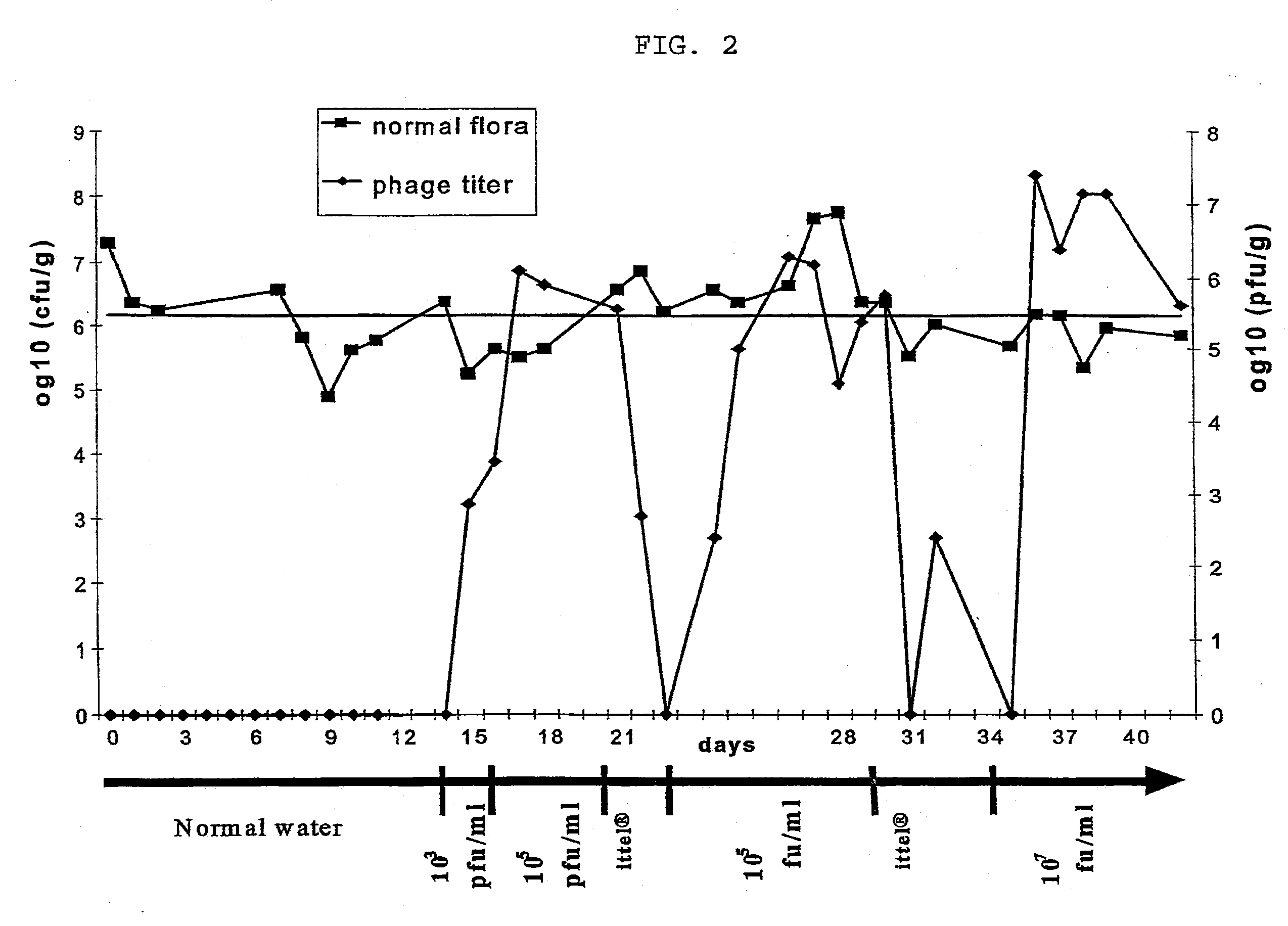 Isolated phages and their use in food or pet food products