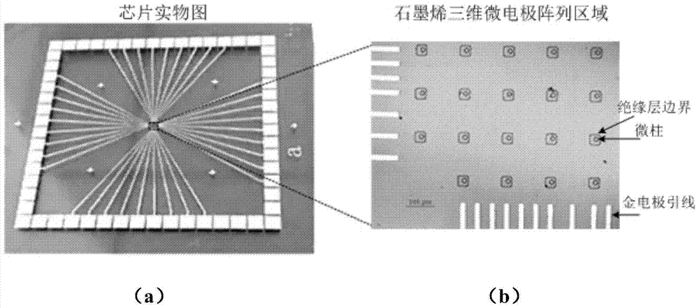 A graphene three-dimensional microelectrode array chip, method and application thereof