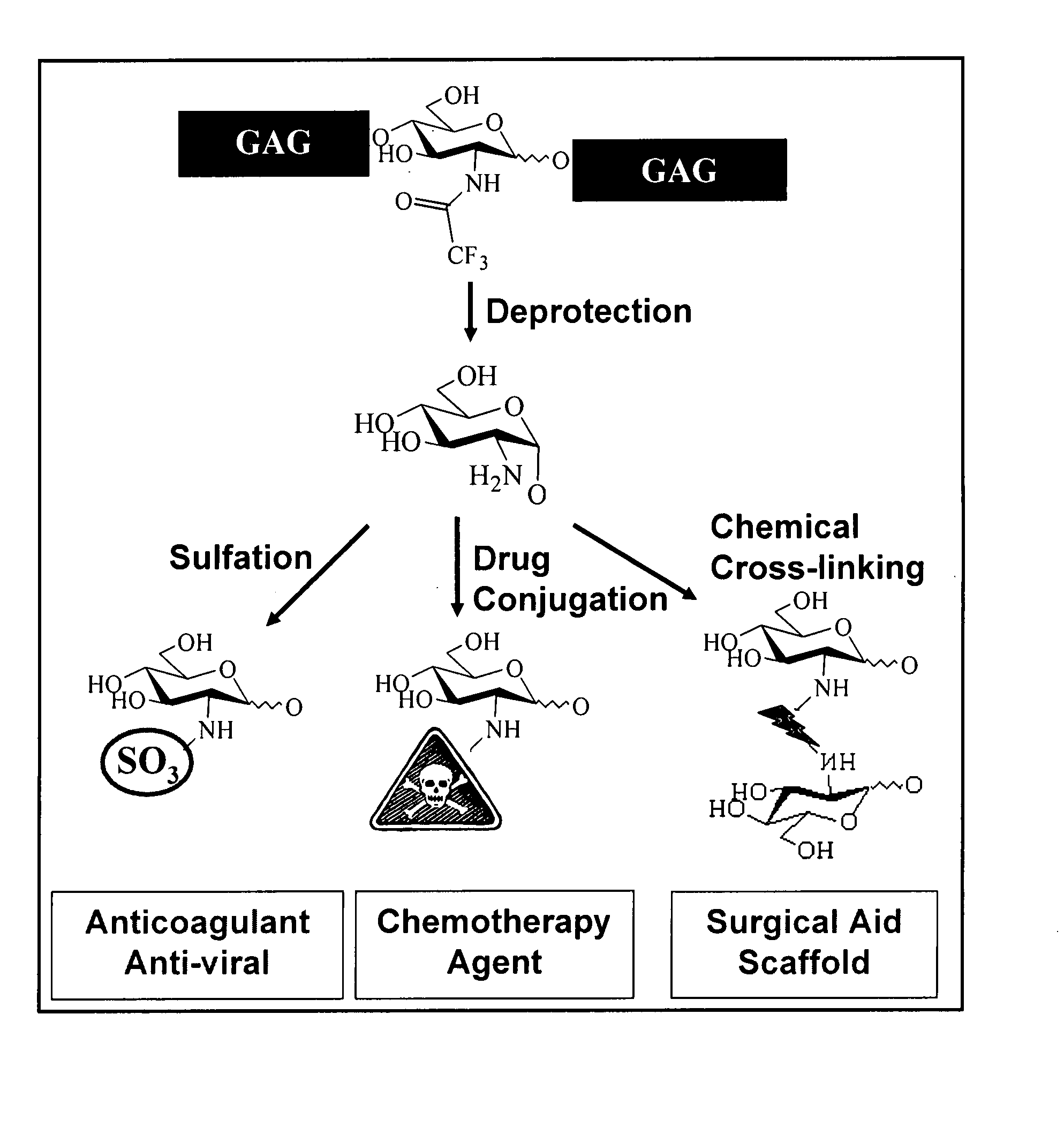 Targeted glycosaminoglycan polymers by polymer grafting and methods of making and using same