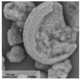 Synthesis method of nano small-grain ZSM-22 molecular sieve