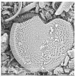 Synthesis method of nano small-grain ZSM-22 molecular sieve