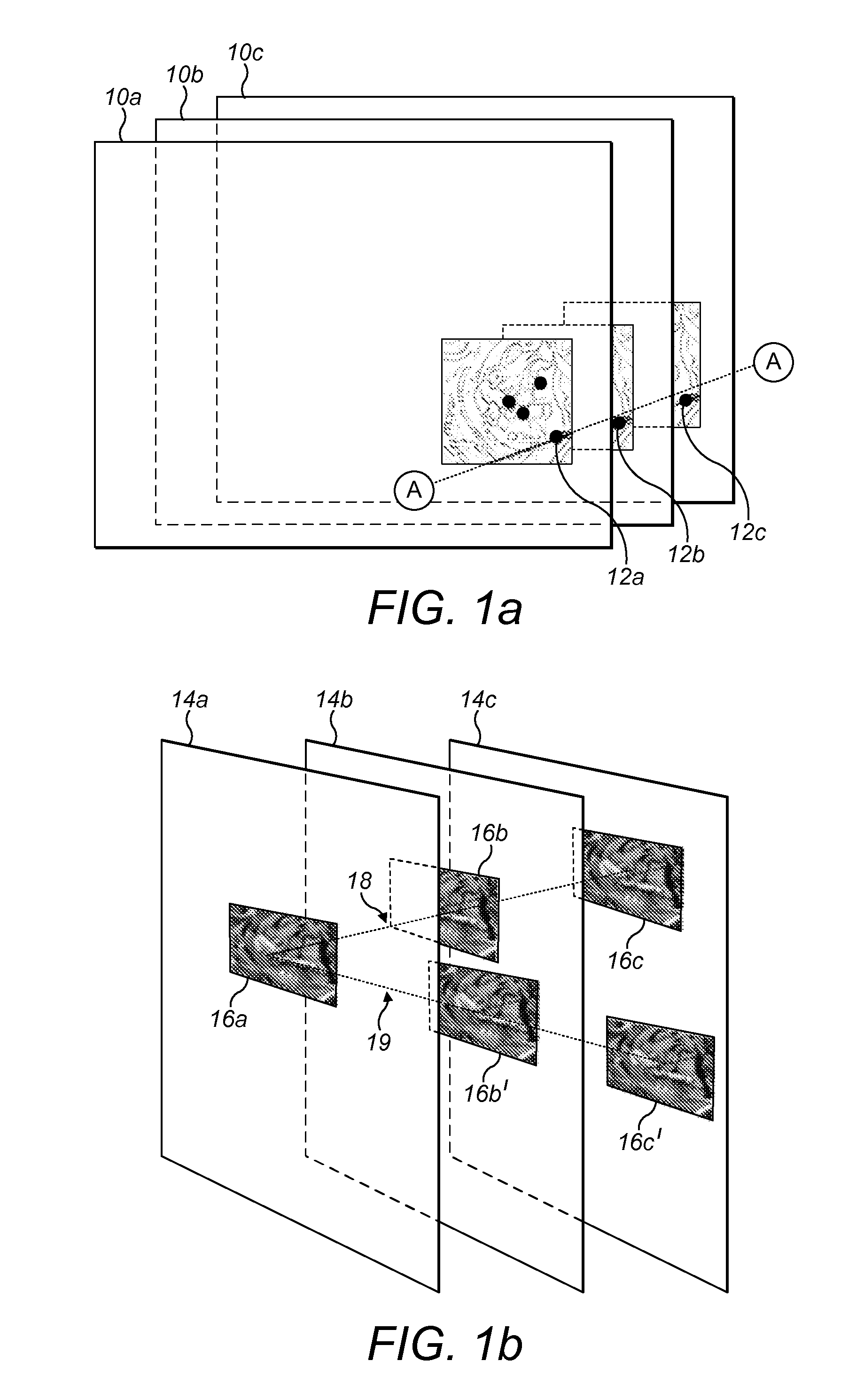 Keypoint descriptor generation by complex wavelet analysis