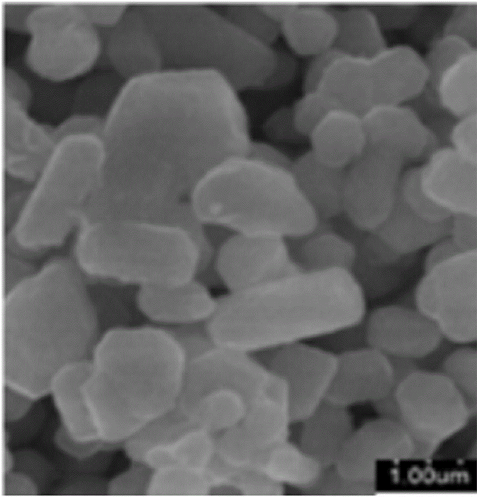 Preparation method of titanium dioxide for color masterbatch