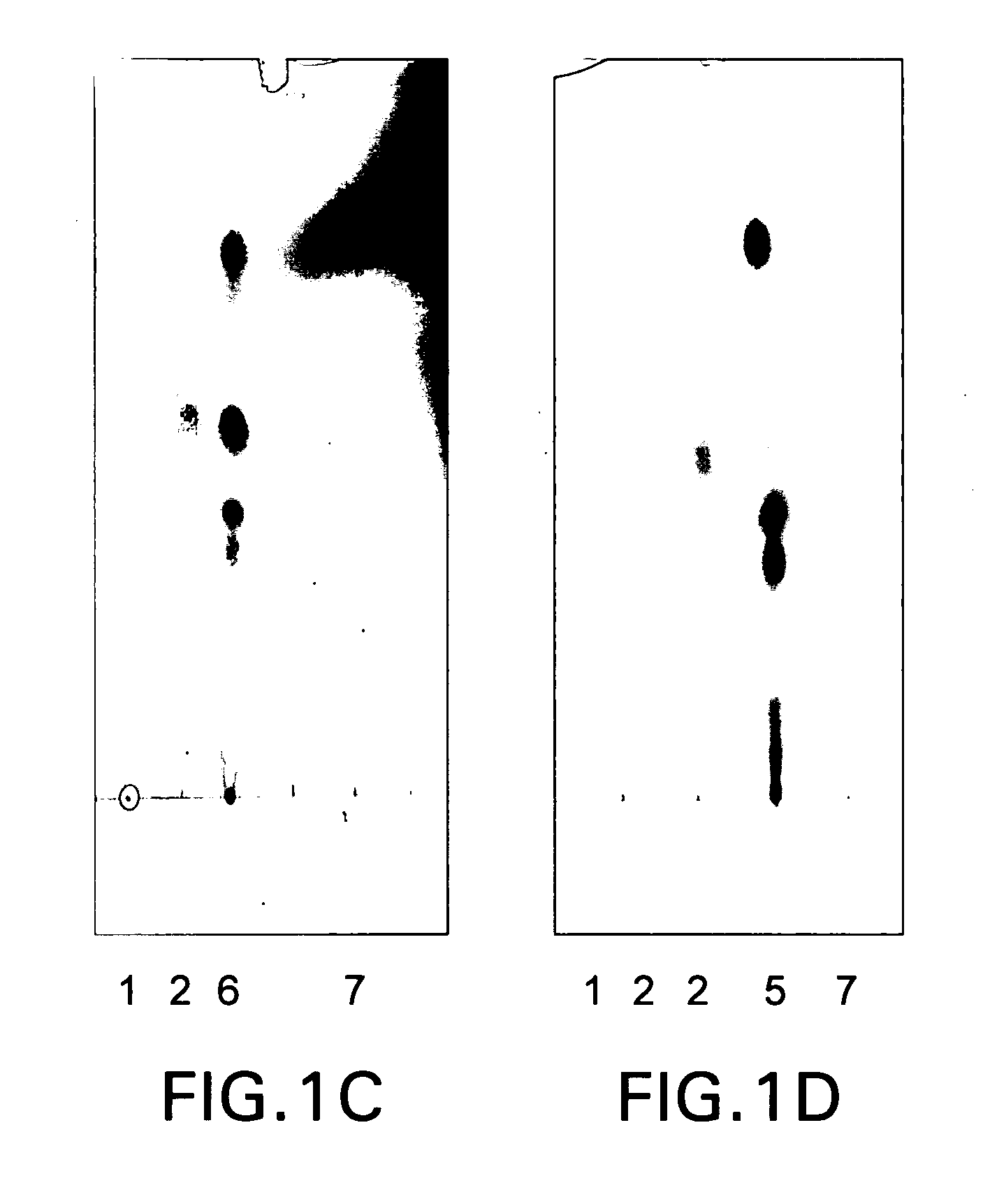 Enzymatic Method of Making Aldehydes from Fatty Acids