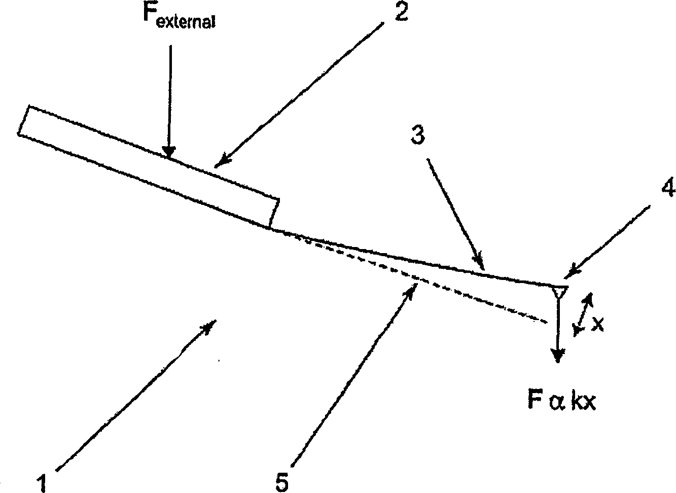 Probe for an atomic force microscope