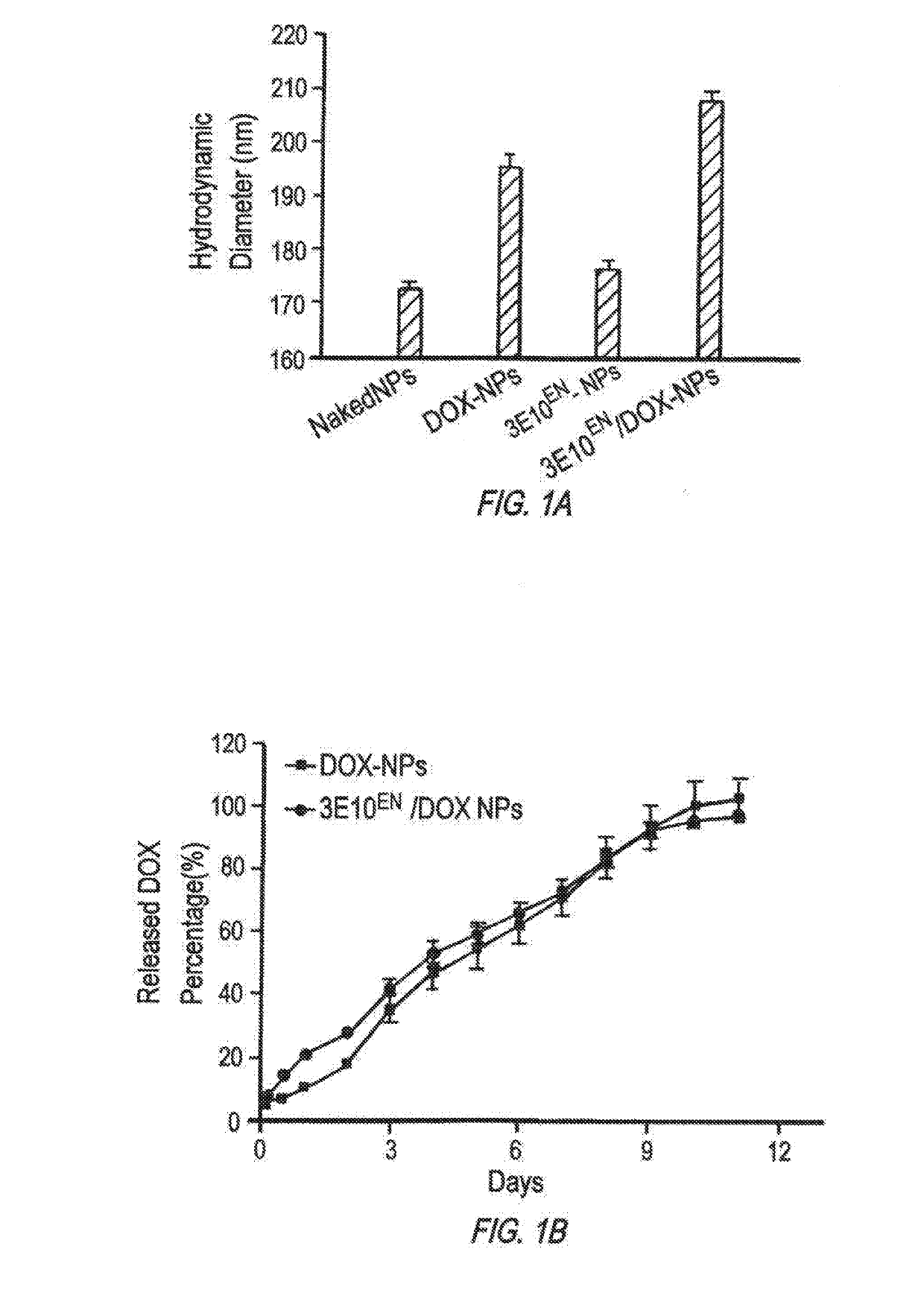 Antibody-mediated autocatalytic, targeted delivery of nanocarriers to tumors