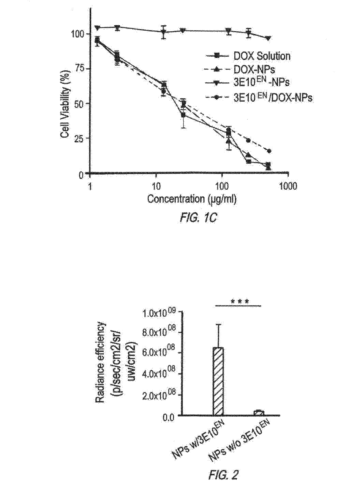 Antibody-mediated autocatalytic, targeted delivery of nanocarriers to tumors