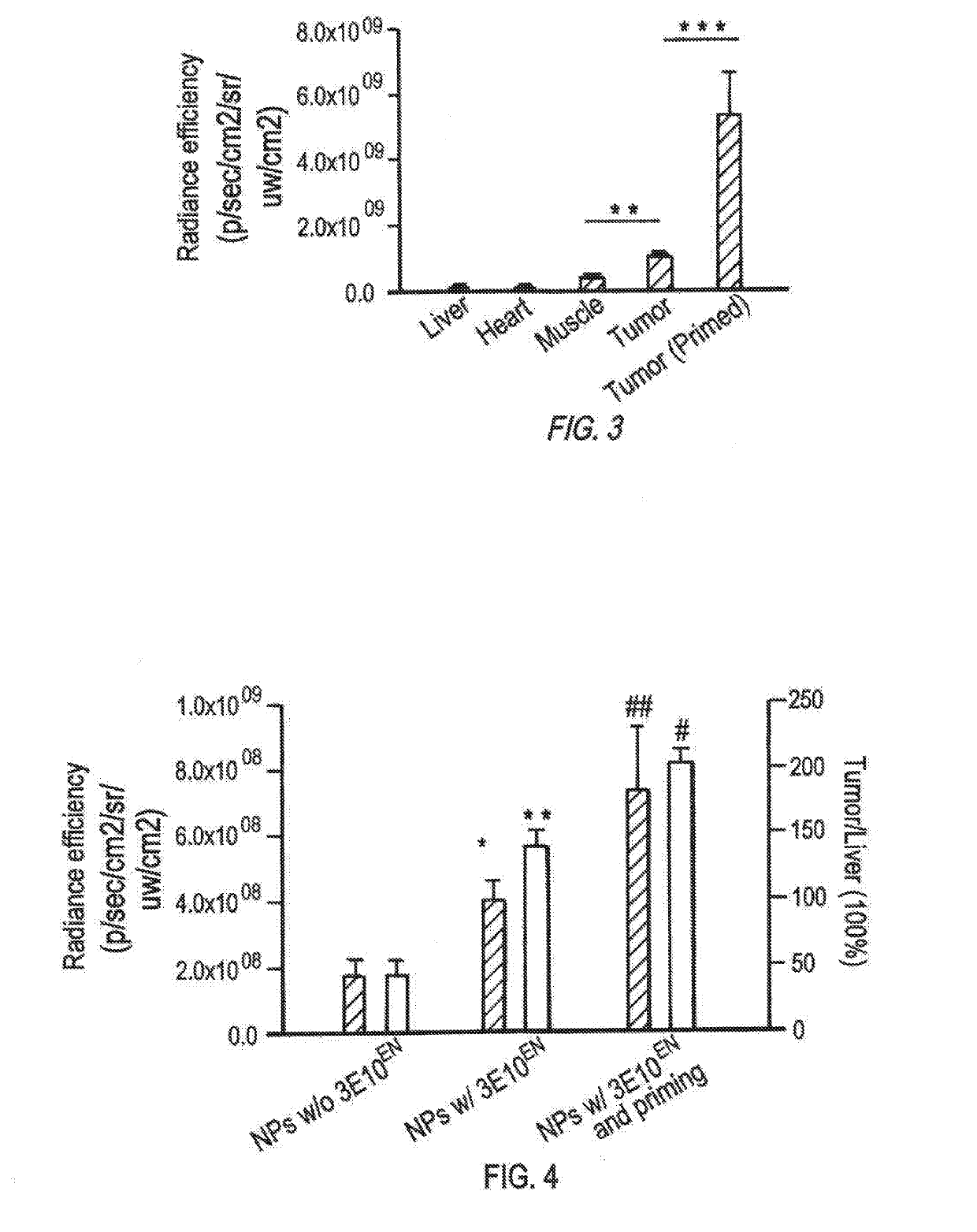 Antibody-mediated autocatalytic, targeted delivery of nanocarriers to tumors