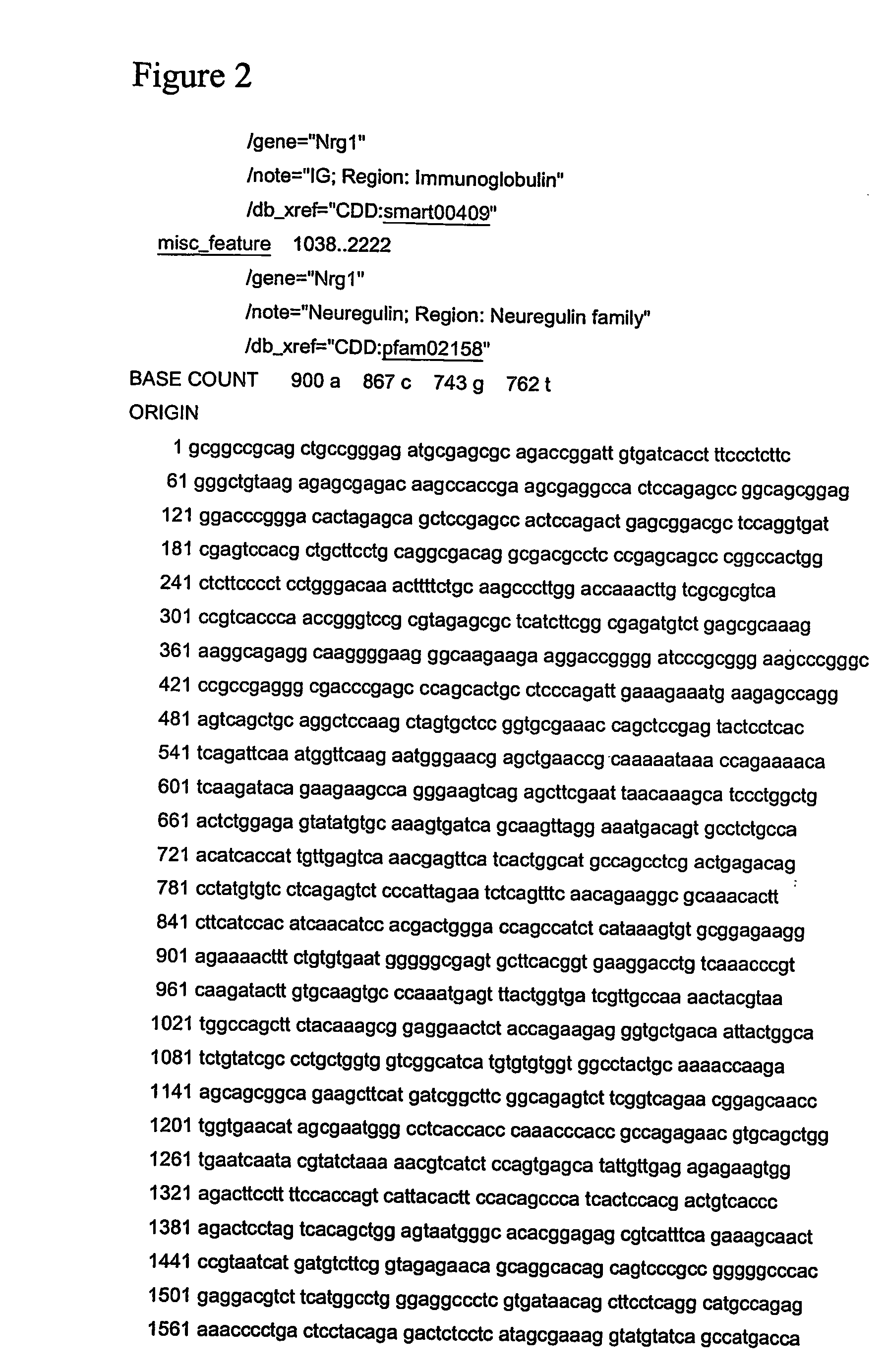 Neuregulin protein regulation of synaptic proteins