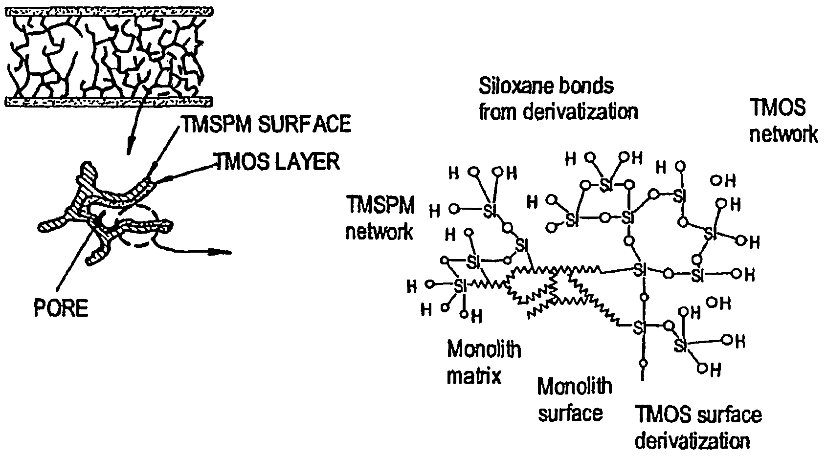 Grafted photo-polymerized monolithic column