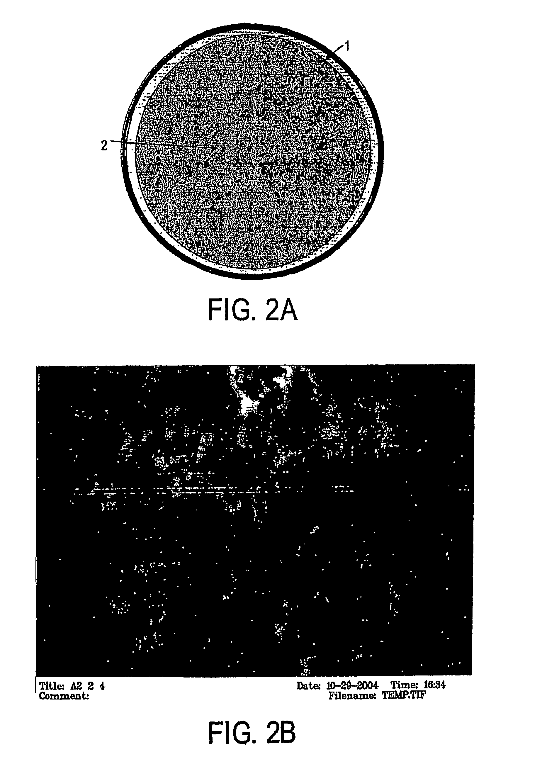 Grafted photo-polymerized monolithic column