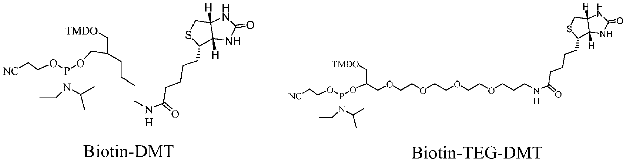 Prodrug with anti-tumor activity and preparation and application thereof